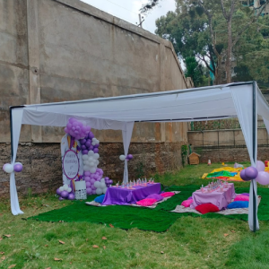 Canopy tents for hire (1)