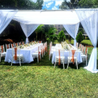 Canopy tents for hire (5)