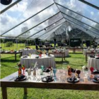 Clear tents for hire (3)