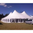 Dome tents for hire (3)