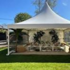 Pagoda tents for hire (3)