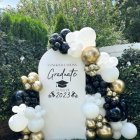 balloon backdrops and decoration services (3)